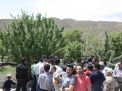 گزارش تصویری از همایش پیاده روی کارکنان در 22 اردیبهشت ماه 